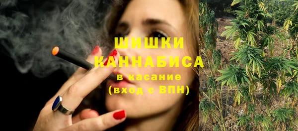 apvp Алзамай