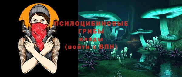 apvp Алзамай