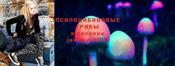 apvp Алзамай